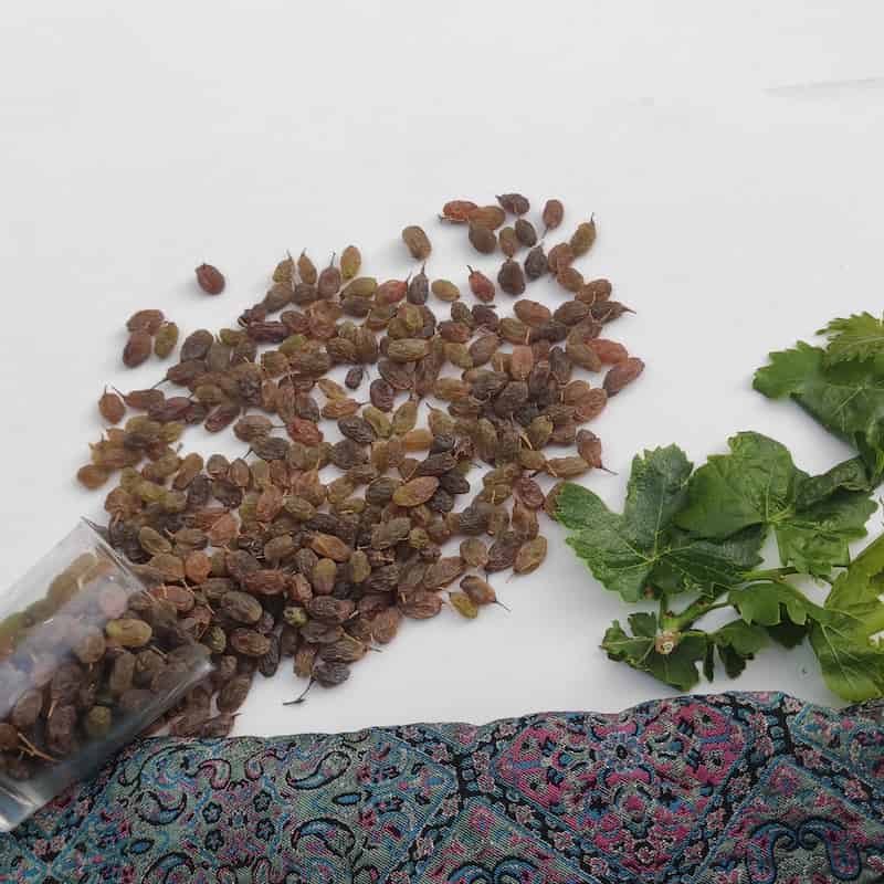تصویر 1 از کشمش سبز سایه خشک مناسب پذیرایی و آجیل های لوکس